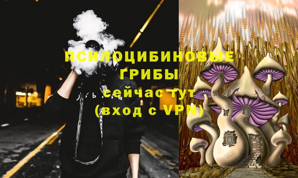тгк Балахна