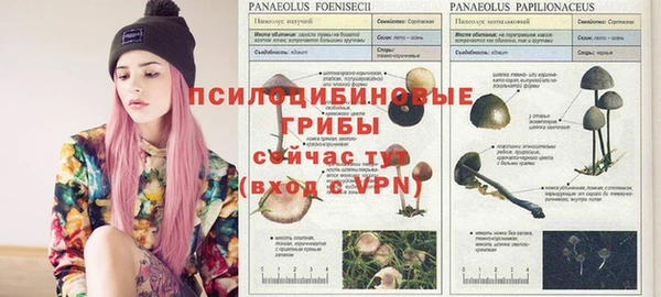 тгк Балахна