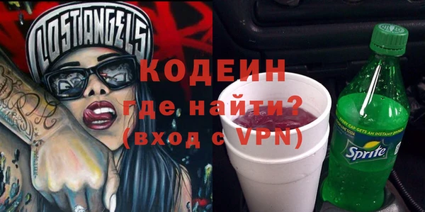 молекула духа Бежецк