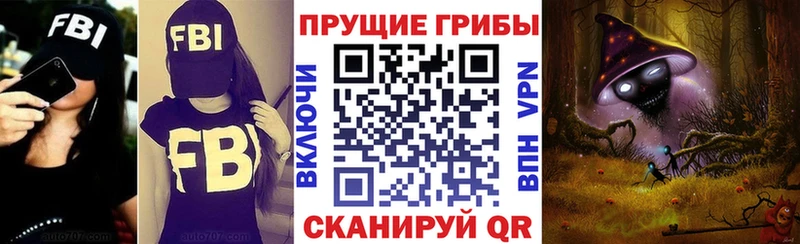 Псилоцибиновые грибы GOLDEN TEACHER  Няндома 